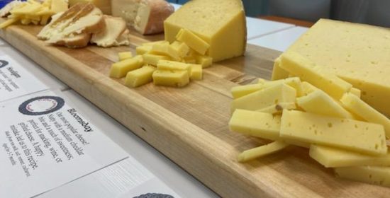 lineup of cheeses